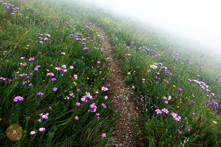 Hiking trail to the summit of Mount Khustup in Armenia