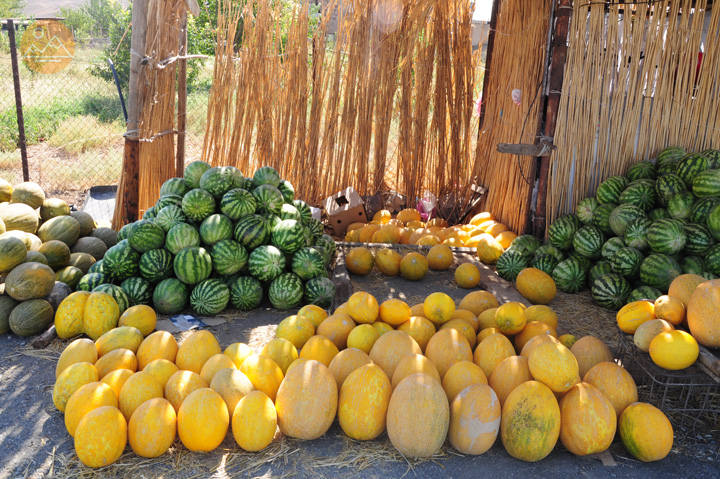 What to eat in Armenia - tips for vegetarians