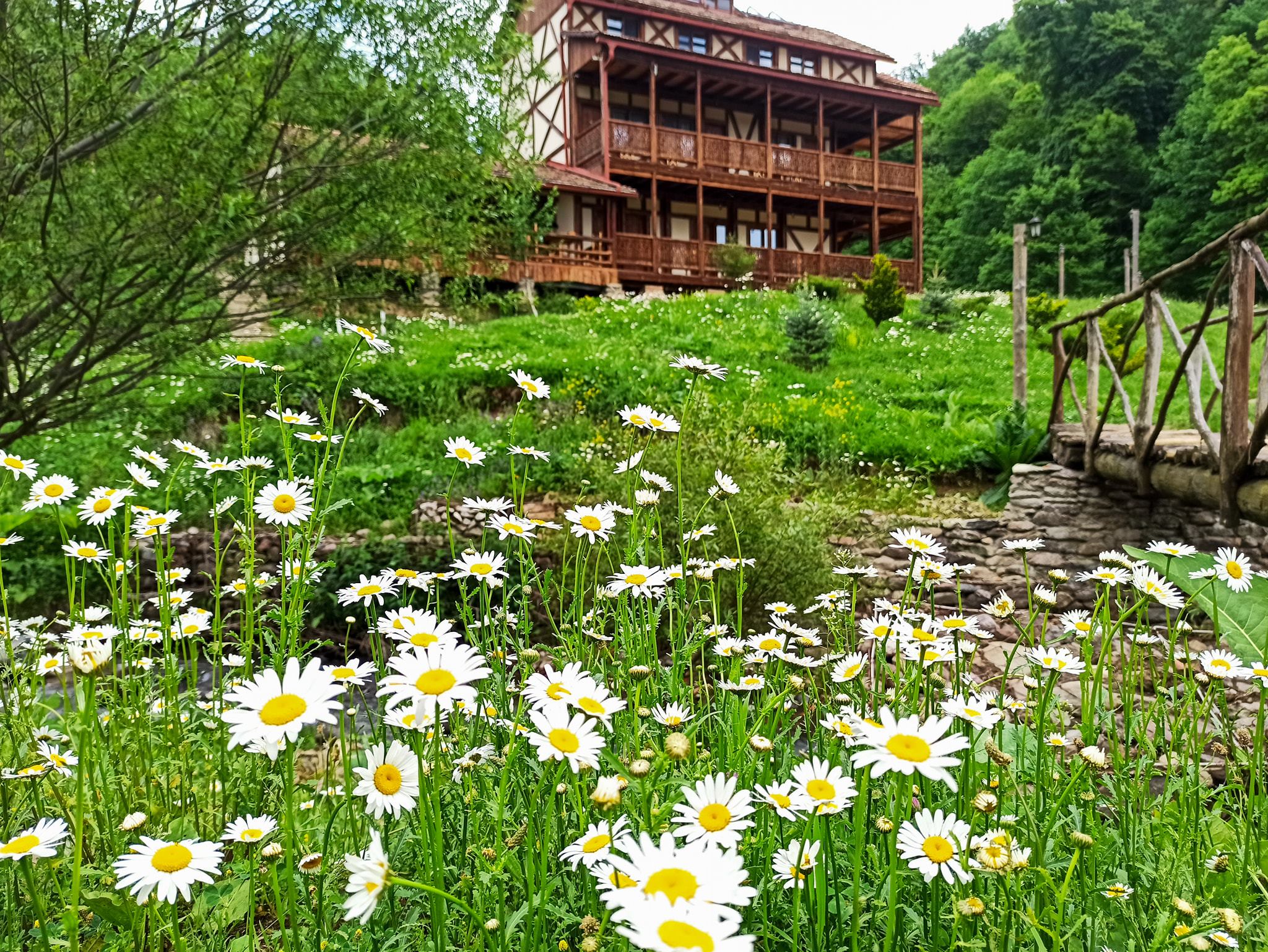 Dilijan Resort Town. Ecokayan Dilijan Resort Hotel - Photo: Ecokayan ©