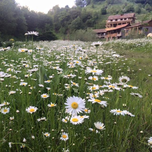 Our Nature